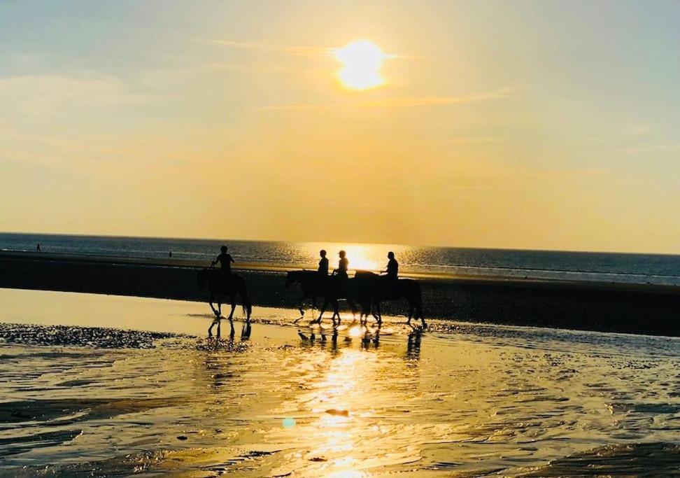 Le Camaieu Deauville Zewnętrze zdjęcie